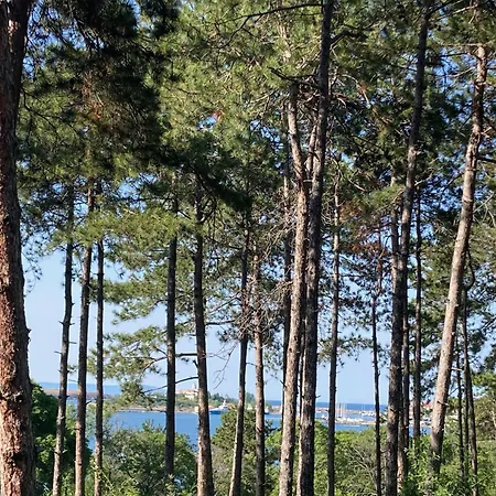 Διαμέρισμα Miomare, Santa Marina Village,